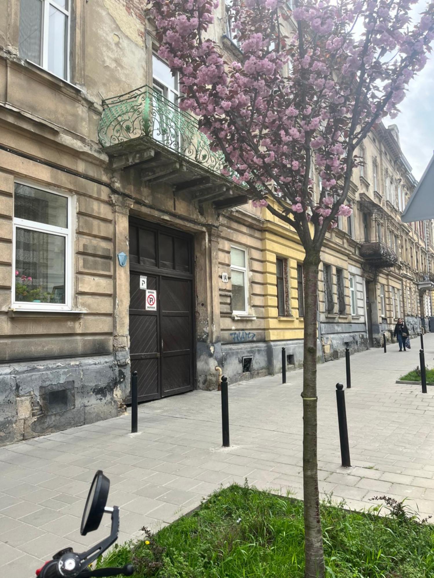 Medova Apartments Lviv Eksteriør bilde